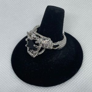 Black, Silver Ring
